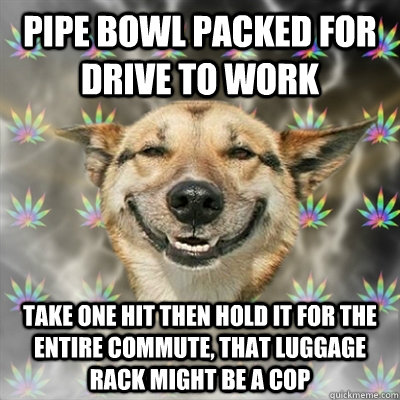 pipe bowl packed for drive to work take one hit then hold it for the entire commute, that luggage rack might be a cop  Stoner Dog