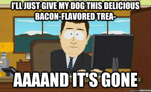 I'LL JUST GIVE MY DOG THIS DELICIOUS BACON-FLAVORED TREA- AAAAND IT'S GONE  anditsgone