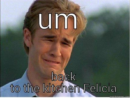 UM  BACK TO THE KITCHEN FELICIA 1990s Problems