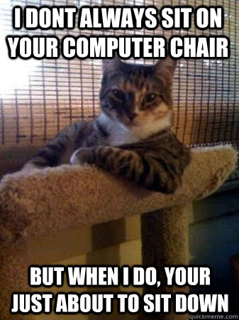 i dont always sit on your computer chair but when i do, your just about to sit down  The Most Interesting Cat in the World