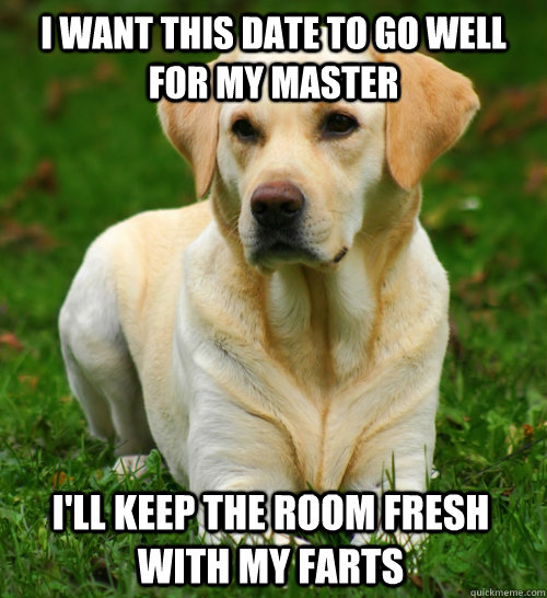 I want this date to go well for my master I'll keep the room fresh with my farts  Dog Logic