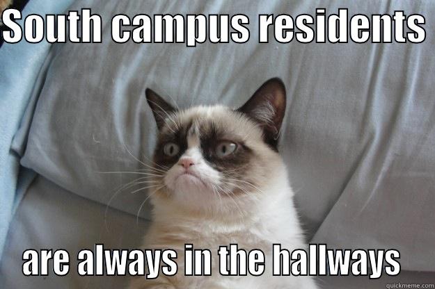 SOUTH CAMPUS RESIDENTS  ARE ALWAYS IN THE HALLWAYS  Grumpy Cat