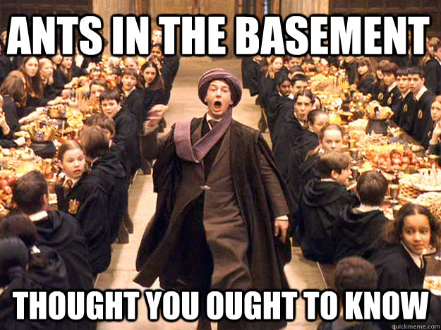 Ants in the Basement Thought you ought to know - Ants in the Basement Thought you ought to know  Professor Quirrell