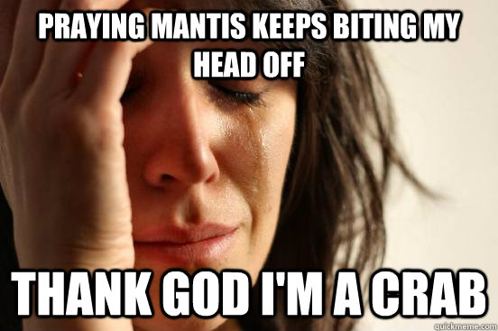 praying mantis keeps biting my head off thank god i'm a crab  First World Problems