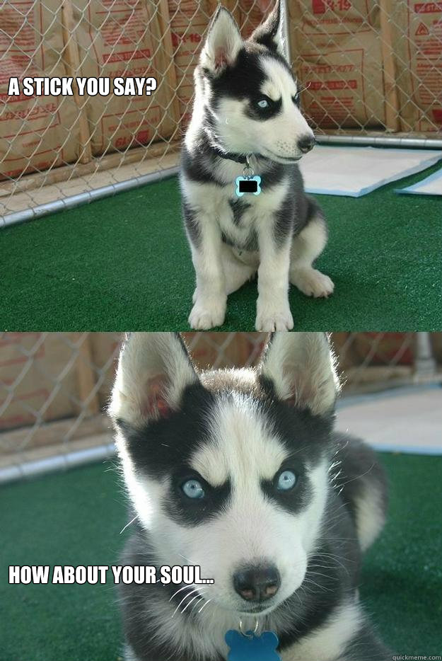 a stick you say? how about your soul...  Insanity puppy