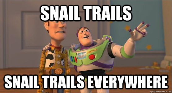 snail trails snail trails everywhere  Toy Story Everywhere