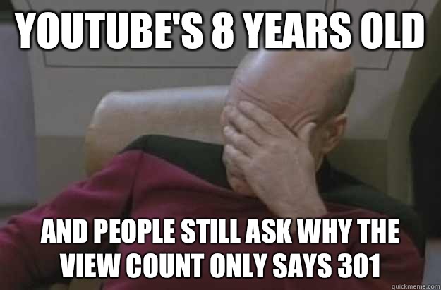 YouTube's 8 years old And people still ask why the view count only says 301  