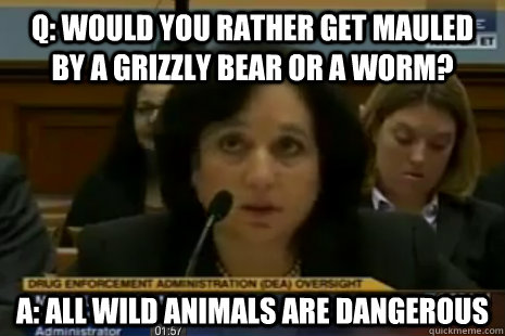 Q: WOULD YOU RATHER GET MAULED BY A GRIZZLY BEAR OR A WORM? A: All WILD ANIMALS ARE DANGEROUS - Q: WOULD YOU RATHER GET MAULED BY A GRIZZLY BEAR OR A WORM? A: All WILD ANIMALS ARE DANGEROUS  Dea Administrator Logic