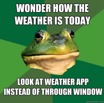 wonder how the weather is today look at weather app instead of through window  Foul Bachelor Frog