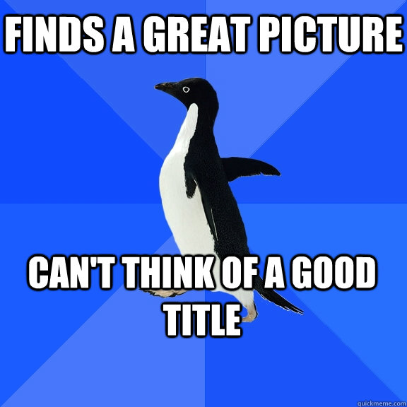 Finds a great picture Can't think of a good title  Socially Awkward Penguin
