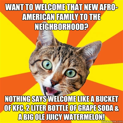 want to welcome that new afro-american family to the neighborhood? nothing says welcome like a bucket of KFC, 2 liter bottle of grape soda & a big ole juicy watermelon!  Bad Advice Cat
