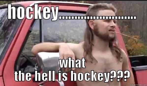 HOCKEY......................... WHAT THE HELL IS HOCKEY??? Almost Politically Correct Redneck