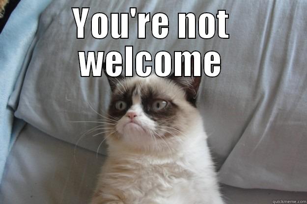 YOU'RE NOT WELCOME  Grumpy Cat