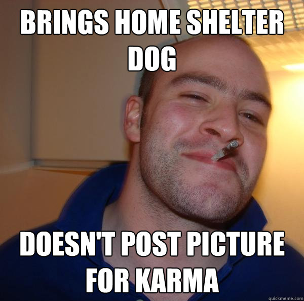 Brings Home shelter dog Doesn't post picture for karma - Brings Home shelter dog Doesn't post picture for karma  Misc