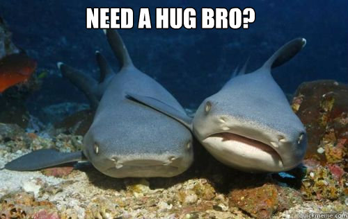 Need a hug bro?   Compassionate Shark Friend