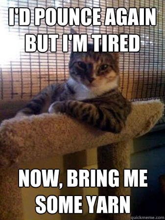 I'd pounce again but i'm tired  Now, bring me some yarn  The Most Interesting Cat in the World
