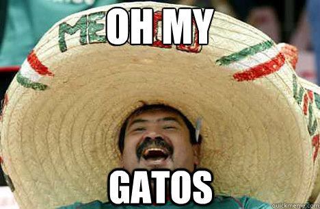 oh my gatos  Merry mexican