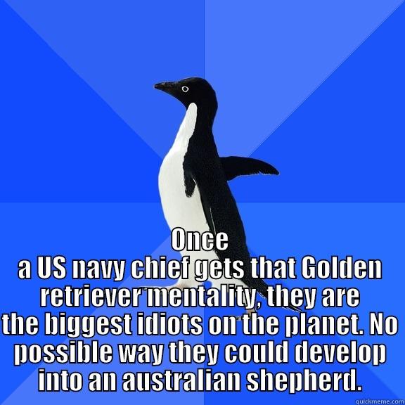  ONCE A US NAVY CHIEF GETS THAT GOLDEN RETRIEVER MENTALITY, THEY ARE THE BIGGEST IDIOTS ON THE PLANET. NO POSSIBLE WAY THEY COULD DEVELOP INTO AN AUSTRALIAN SHEPHERD. Socially Awkward Penguin