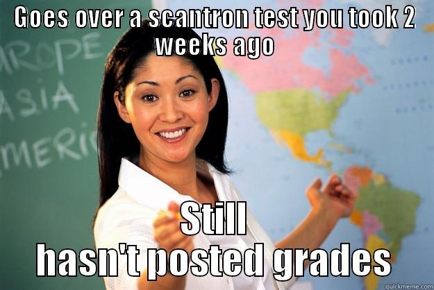 GOES OVER A SCANTRON TEST YOU TOOK 2 WEEKS AGO STILL HASN'T POSTED GRADES Unhelpful High School Teacher