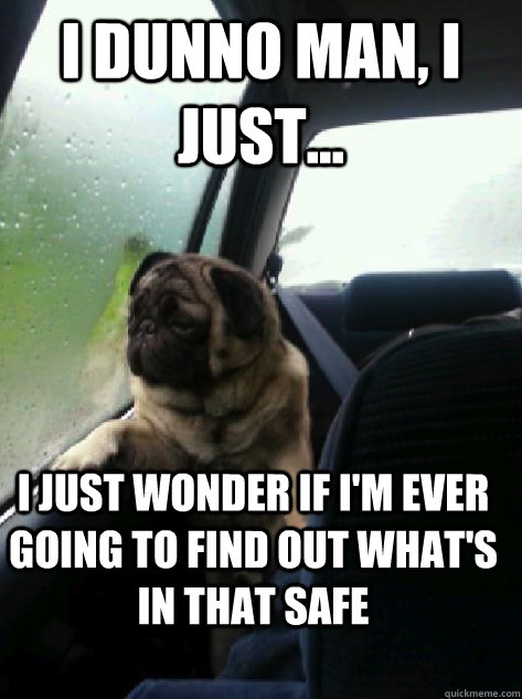 i dunno man, i just... I just wonder if i'm ever going to find out what's in that safe  Introspective Pug