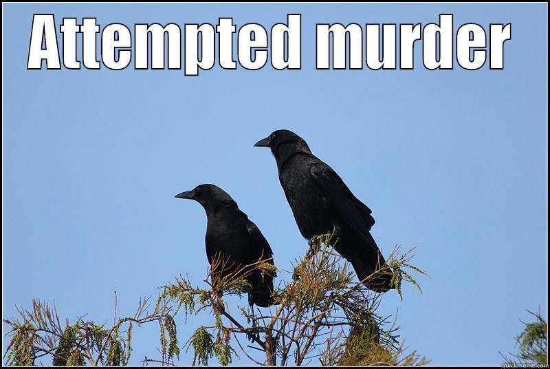 ATTEMPTED MURDER  Misc