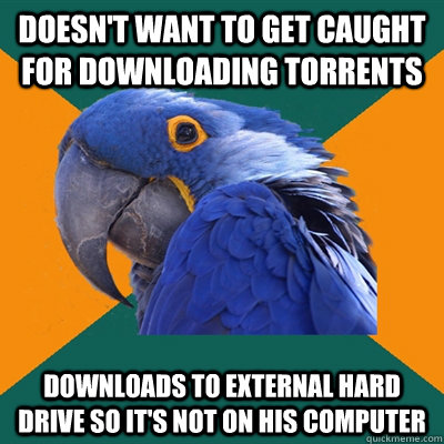 Doesn't want to get caught for downloading torrents downloads to external hard drive so it's not on his computer  Paranoid Parrot