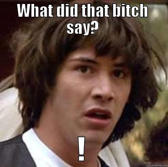 WHAT DID THAT BITCH SAY? ! conspiracy keanu