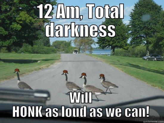 12 AM, TOTAL DARKNESS WILL HONK AS LOUD AS WE CAN! Scumbag Geese