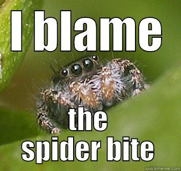 I BLAME THE SPIDER BITE Misunderstood Spider