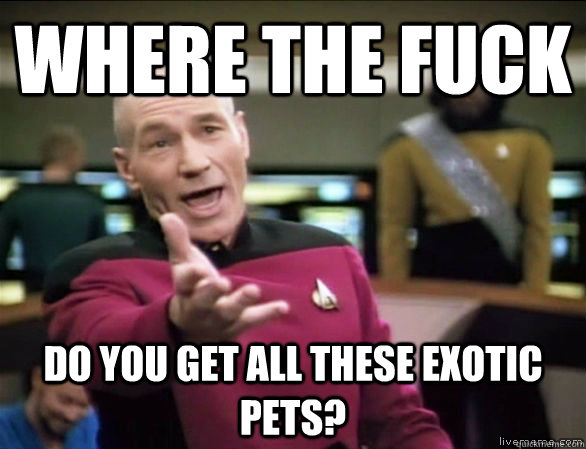 where the fuck do you get all these exotic pets?  Annoyed Picard HD