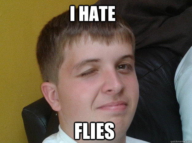 I Hate Flies  