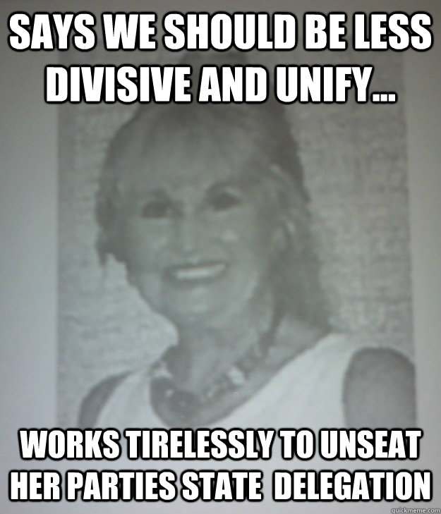 Says we should be less divisive and Unify... works tirelessly to unseat her parties state  delegation - Says we should be less divisive and Unify... works tirelessly to unseat her parties state  delegation  JanStaples