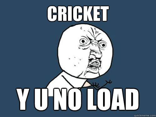 Cricket y u no load  Y U No