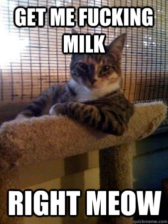Get me fucking milk  Right meow  The Most Interesting Cat in the World