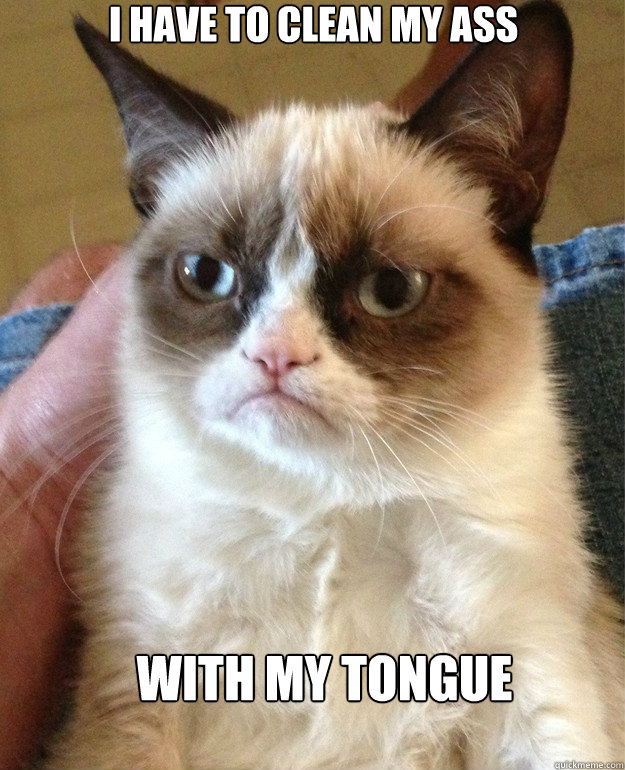 I have to clean my ass with my tongue  - I have to clean my ass with my tongue   Misc