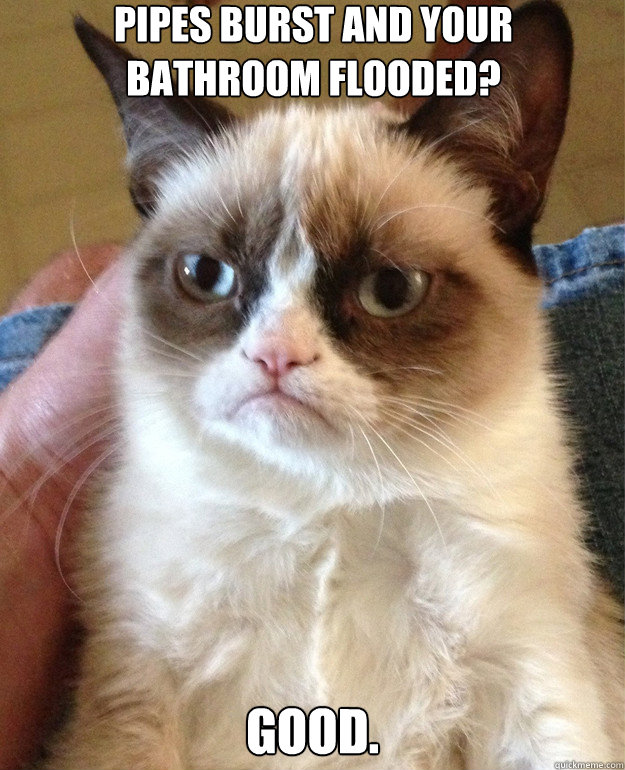 Pipes burst and your bathroom flooded?  Good.  - Pipes burst and your bathroom flooded?  Good.   Misc