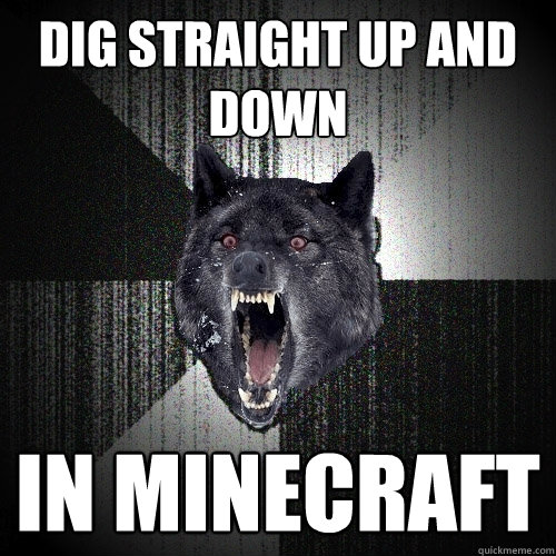 Dig straight up and down  in minecraft  Insanity Wolf