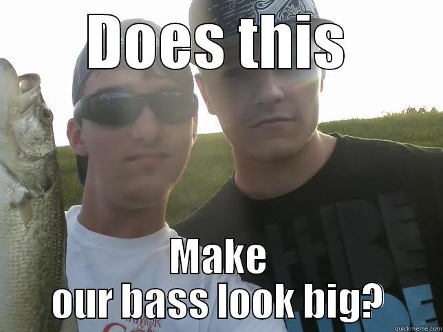 DOES THIS MAKE OUR BASS LOOK BIG? Misc