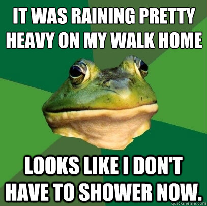 It was raining pretty heavy on my walk home Looks like I don't have to shower now.  Foul Bachelor Frog