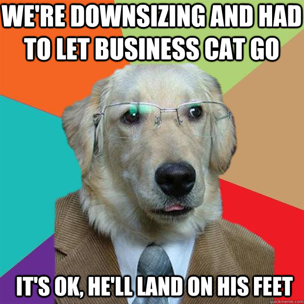 We're downsizing and had to let Business Cat go It's ok, he'll land on his feet - We're downsizing and had to let Business Cat go It's ok, he'll land on his feet  Business Dog