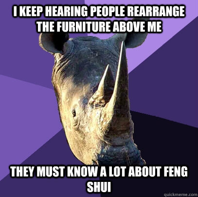 i keep hearing people rearrange the furniture above me they must know a lot about feng shui  Sexually Oblivious Rhino