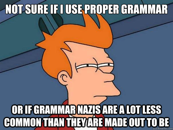 not sure if i use proper grammar or if grammar nazis are a lot less common than they are made out to be  Futurama Fry
