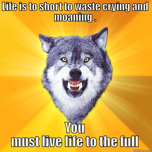 Life is to short  - LIFE IS TO SHORT TO WASTE CRYING AND MOANING . YOU MUST LIVE LIFE TO THE FULL Courage Wolf