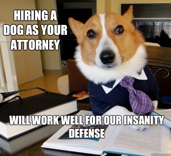 Hiring a dog as your attorney Will work well for our insanity defense   Lawyer Dog