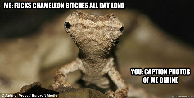 ME: FUCKS CHAMELEON BITCHES ALL DAY LONG YOU: CAPTION PHOTOS OF ME ONLINE - ME: FUCKS CHAMELEON BITCHES ALL DAY LONG YOU: CAPTION PHOTOS OF ME ONLINE  Misc