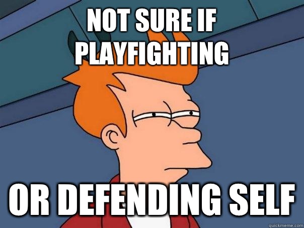 Not sure if playfighting Or defending self  Futurama Fry