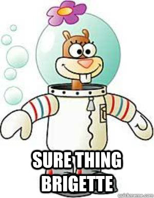  sure thing brigette  hurricane sandy cheeks