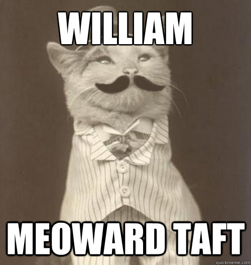 william meoward taft  Original Business Cat