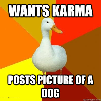 wants karma posts picture of a dog  Tech Impaired Duck