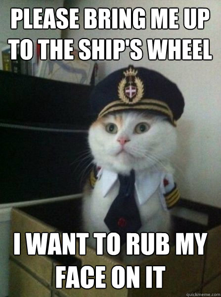 please bring me up to the ship's wheel I want to rub my face on it  Captain kitteh